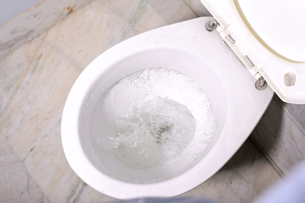 Blocked or Overflowing Toilet
