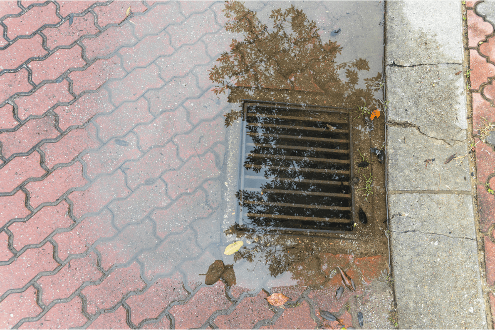 Sewage Backup — Health Emergency