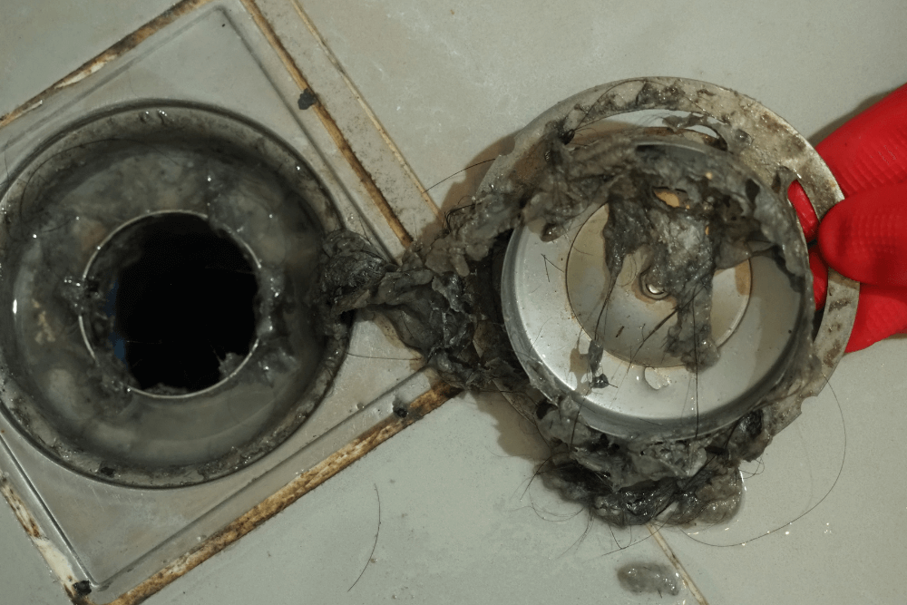 Drain Cleaning Near Me